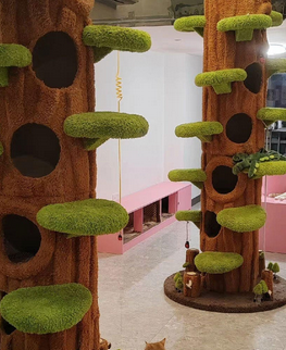 Foto da avaliação Carlos 2